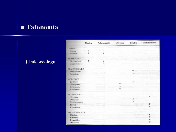 ■ Tafonomia ♦ Paleoecologia 