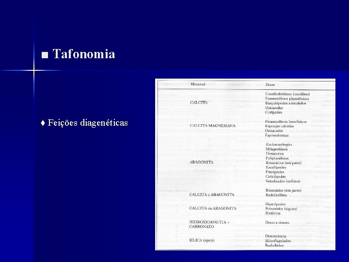 ■ Tafonomia ♦ Feições diagenéticas 