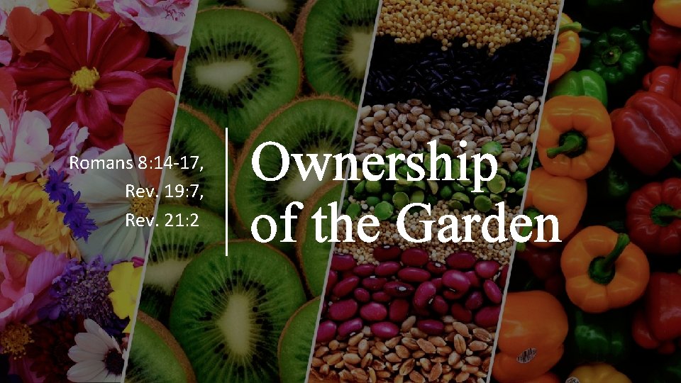 Romans 8: 14 -17, Rev. 19: 7, Rev. 21: 2 Ownership of the Garden