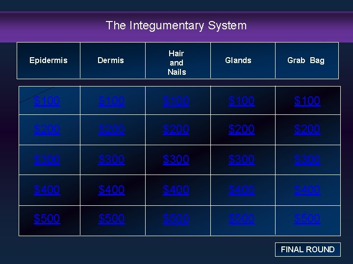 The Integumentary System Epidermis Dermis Hair and Nails $100 $100 $200 $200 $300 $300