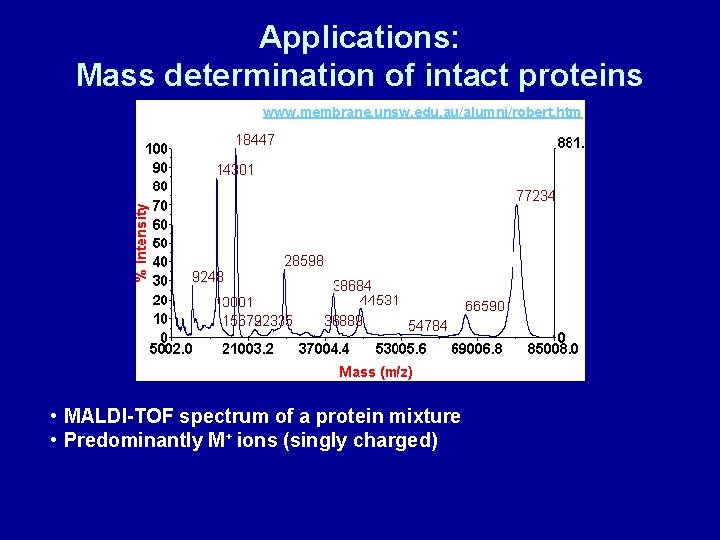 Applications: Mass determination of intact proteins www. membrane. unsw. edu. au/alumni/robert. htm • MALDI-TOF