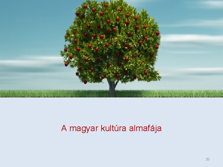 A magyar kultúra almafája 20 