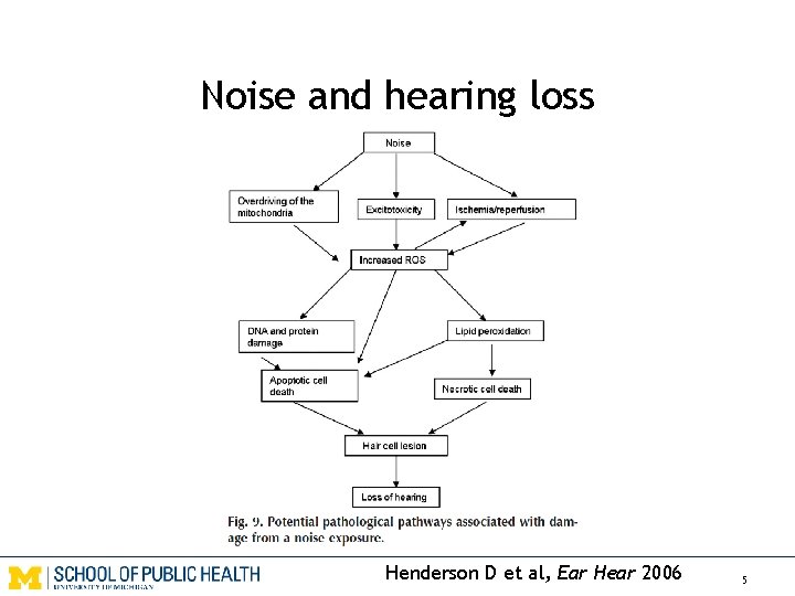 Noise and hearing loss Henderson D et al, Ear Hear 2006 5 