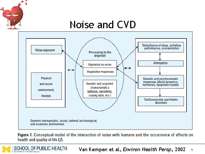 Noise and CVD Van Kempen et al, Environ Health Persp, 2002 9 