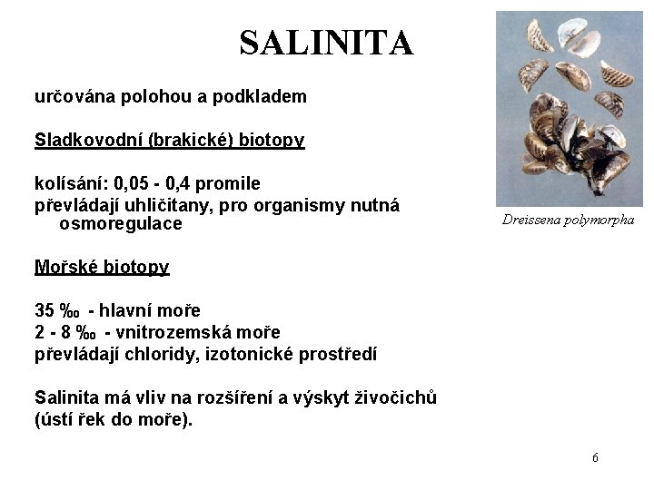 SALINITA určována polohou a podkladem Sladkovodní (brakické) biotopy kolísání: 0, 05 - 0, 4