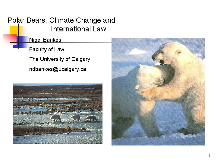 Polar Bears, Climate Change and International Law Nigel Bankes Faculty of Law The University