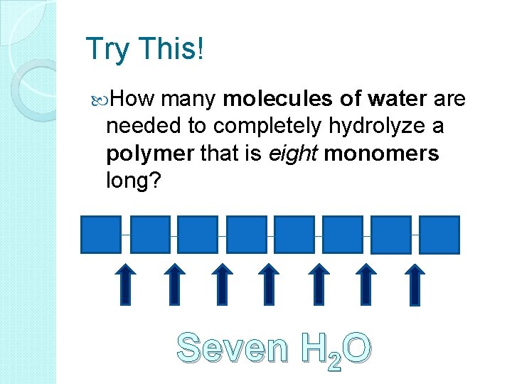 Try This! How many molecules of water are needed to completely hydrolyze a polymer