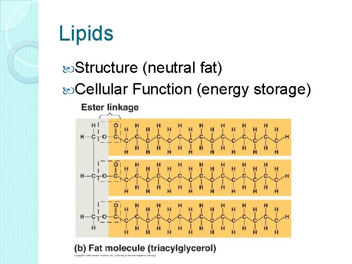 Lipids Structure (neutral fat) Cellular Function (energy storage) 