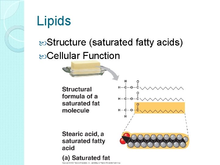 Lipids Structure (saturated fatty acids) Cellular Function 