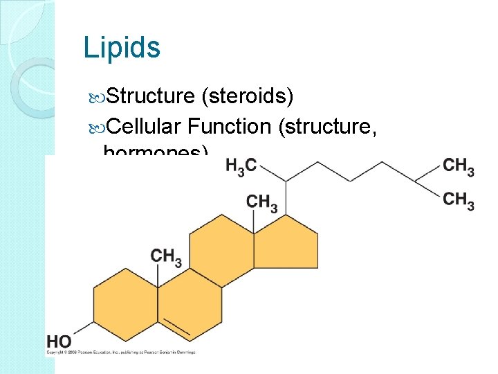 Lipids Structure (steroids) Cellular Function (structure, hormones) 