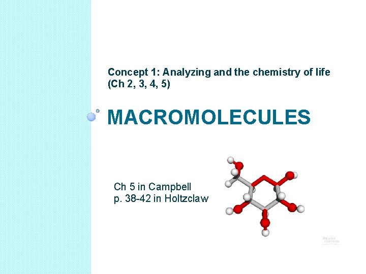 Concept 1: Analyzing and the chemistry of life (Ch 2, 3, 4, 5) MACROMOLECULES