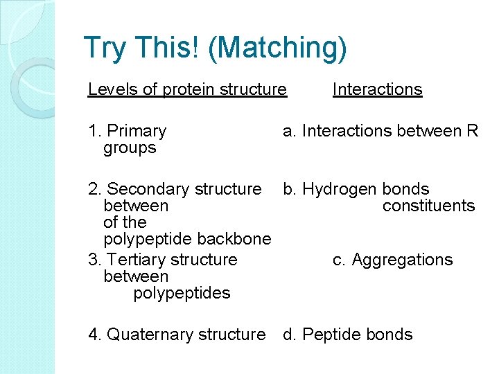 Try This! (Matching) Levels of protein structure Interactions 1. Primary a. Interactions between R