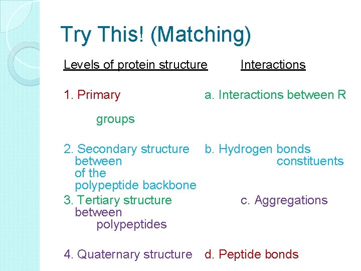 Try This! (Matching) Levels of protein structure Interactions 1. Primary a. Interactions between R