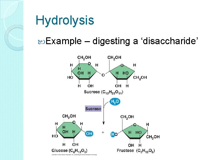 Hydrolysis Example – digesting a ‘disaccharide’ 