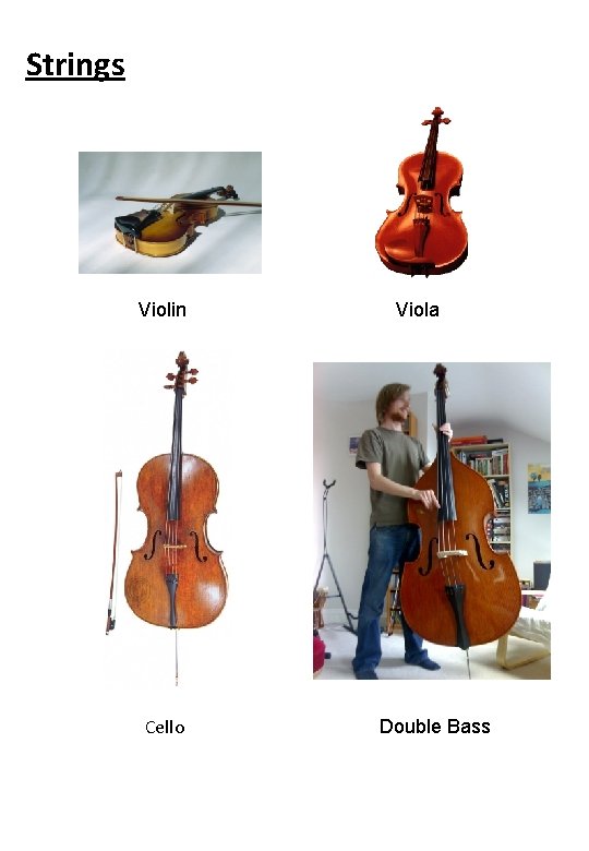 Strings Violin Cello Viola Double Bass 