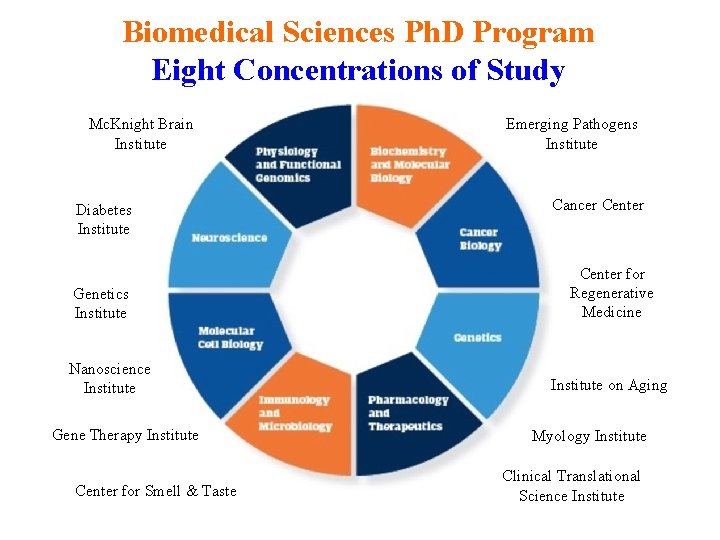 Biomedical Sciences Ph. D Program Eight Concentrations of Study Mc. Knight Brain Institute Diabetes