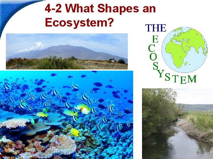4 -2 What Shapes an Ecosystem? Slide 1 of 39 Copyright Pearson Prentice Hall 4 -2 What Shapes an Ecosystem? Slide 1 of 39 Copyright Pearson Prentice Hall