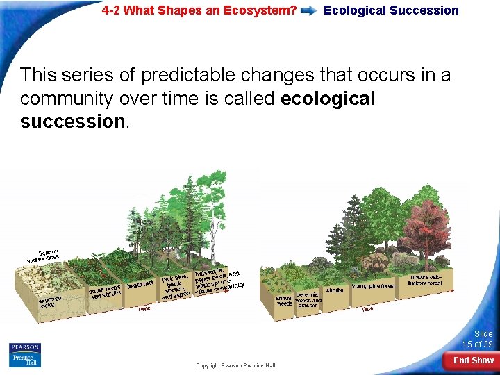 4 -2 What Shapes an Ecosystem? Ecological Succession This series of predictable changes that 4 -2 What Shapes an Ecosystem? Ecological Succession This series of predictable changes that