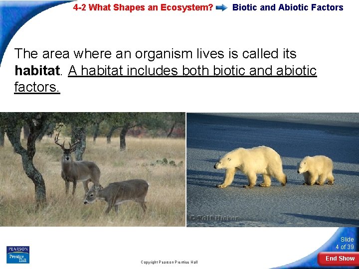4 -2 What Shapes an Ecosystem? Biotic and Abiotic Factors The area where an 4 -2 What Shapes an Ecosystem? Biotic and Abiotic Factors The area where an