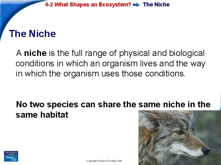 4 -2 What Shapes an Ecosystem? The Niche A niche is the full range 4 -2 What Shapes an Ecosystem? The Niche A niche is the full range