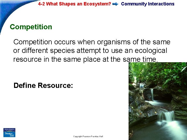 4 -2 What Shapes an Ecosystem? Community Interactions Competition occurs when organisms of the 4 -2 What Shapes an Ecosystem? Community Interactions Competition occurs when organisms of the