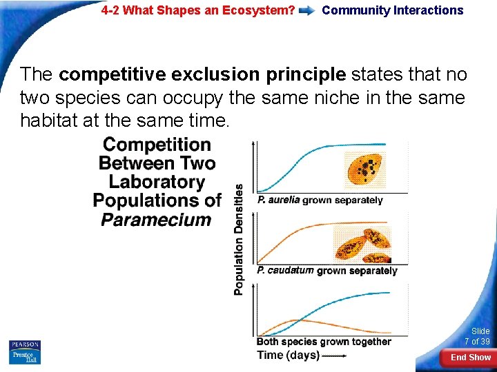 4 -2 What Shapes an Ecosystem? Community Interactions The competitive exclusion principle states that 4 -2 What Shapes an Ecosystem? Community Interactions The competitive exclusion principle states that