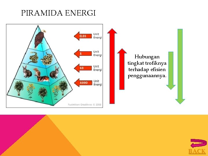 PIRAMIDA ENERGI Hubungan tingkat trofiknya terhadap efisien penggunaannya. BACK 