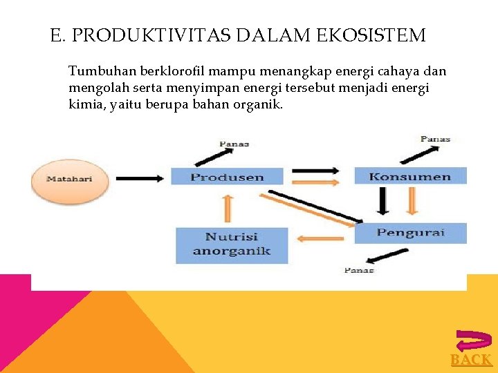 E. PRODUKTIVITAS DALAM EKOSISTEM Tumbuhan berklorofil mampu menangkap energi cahaya dan mengolah serta menyimpan