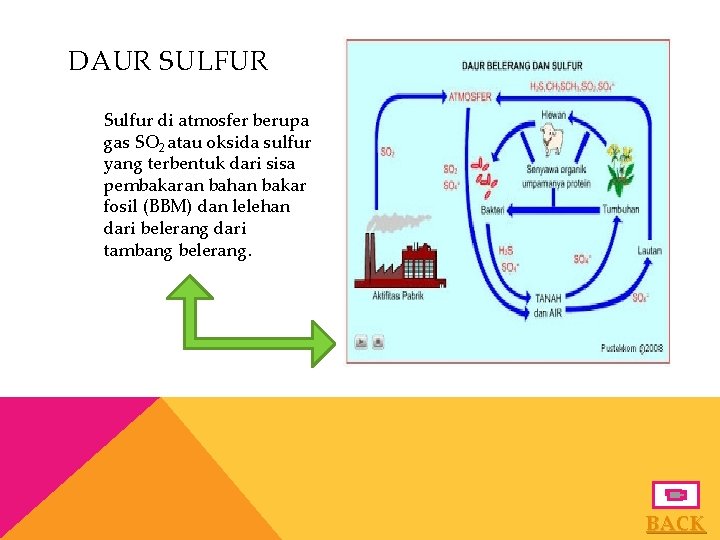 DAUR SULFUR Sulfur di atmosfer berupa gas SO 2 atau oksida sulfur yang terbentuk