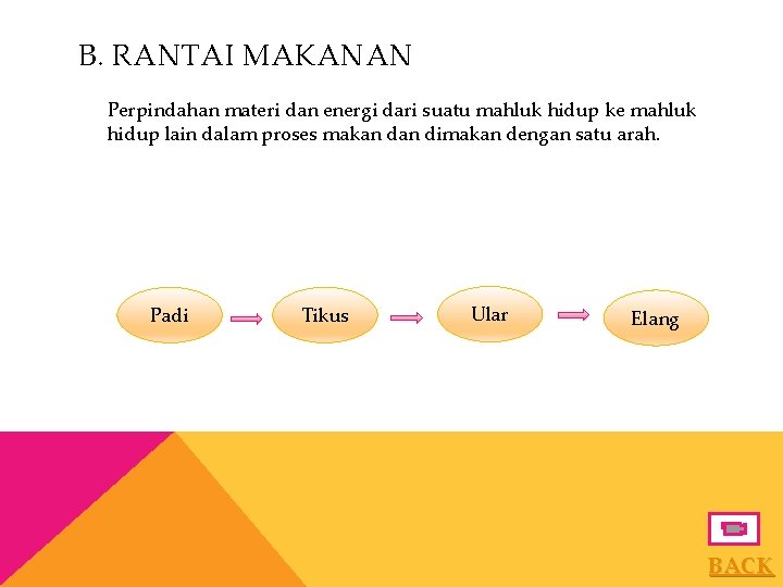 B. RANTAI MAKANAN Perpindahan materi dan energi dari suatu mahluk hidup ke mahluk hidup