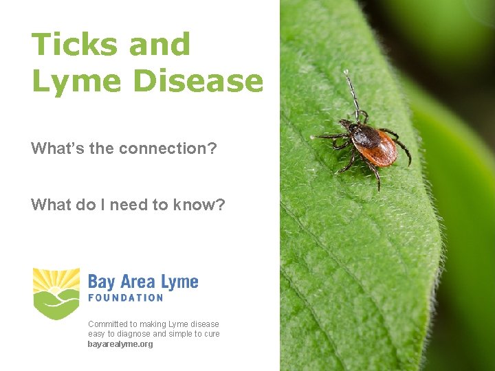 Ticks and Lyme Disease What’s the connection? What do I need to know? Committed