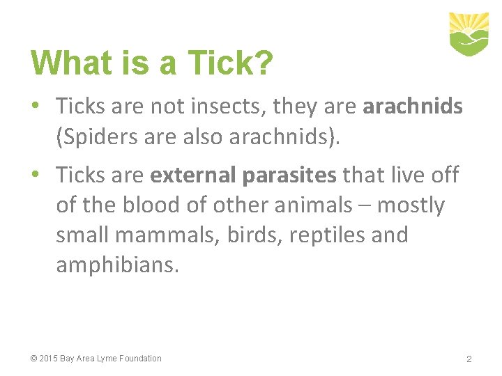 What is a Tick? • Ticks are not insects, they are arachnids (Spiders are