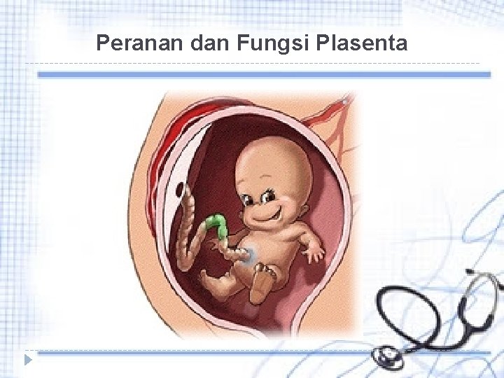 Peranan dan Fungsi Plasenta 