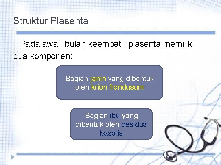 Struktur Plasenta Pada awal bulan keempat, plasenta memiliki dua komponen: Bagian janin yang dibentuk