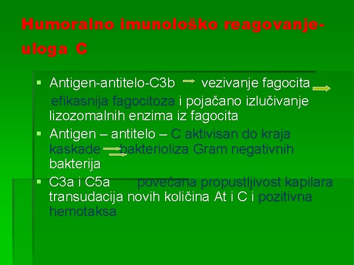 Humoralno imunološko reagovanjeuloga C § Antigen-antitelo-C 3 b vezivanje fagocita efikasnija fagocitoza i pojačano