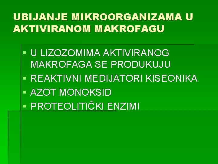 UBIJANJE MIKROORGANIZAMA U AKTIVIRANOM MAKROFAGU § U LIZOZOMIMA AKTIVIRANOG MAKROFAGA SE PRODUKUJU § REAKTIVNI