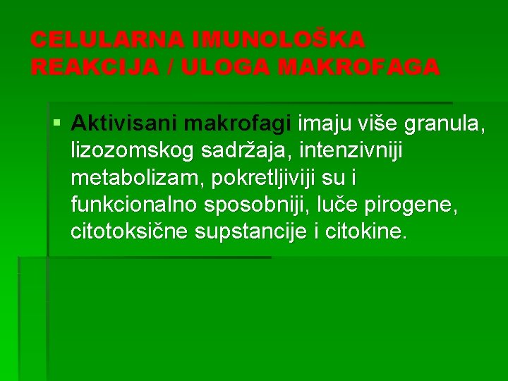 CELULARNA IMUNOLOŠKA REAKCIJA / ULOGA MAKROFAGA § Aktivisani makrofagi imaju više granula, lizozomskog sadržaja,