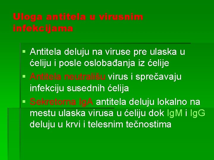 Uloga antitela u virusnim infekcijama § Antitela deluju na viruse pre ulaska u ćeliju