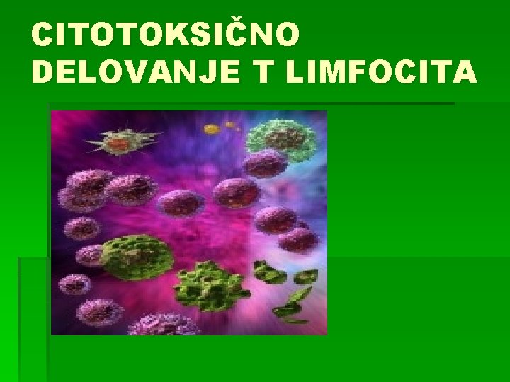 CITOTOKSIČNO DELOVANJE T LIMFOCITA 