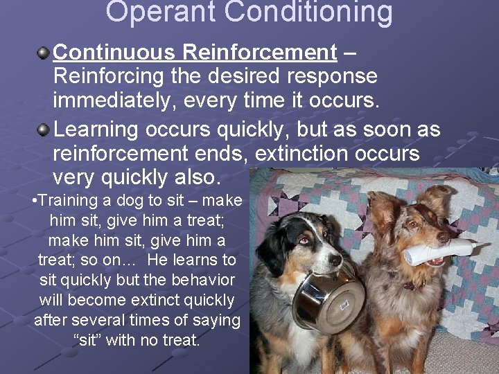 Operant Conditioning Continuous Reinforcement – Reinforcing the desired response immediately, every time it occurs.