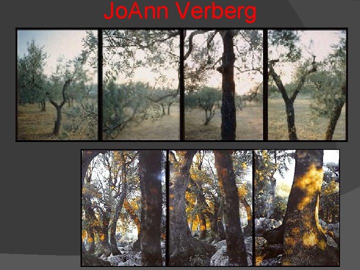 Jo. Ann Verberg 