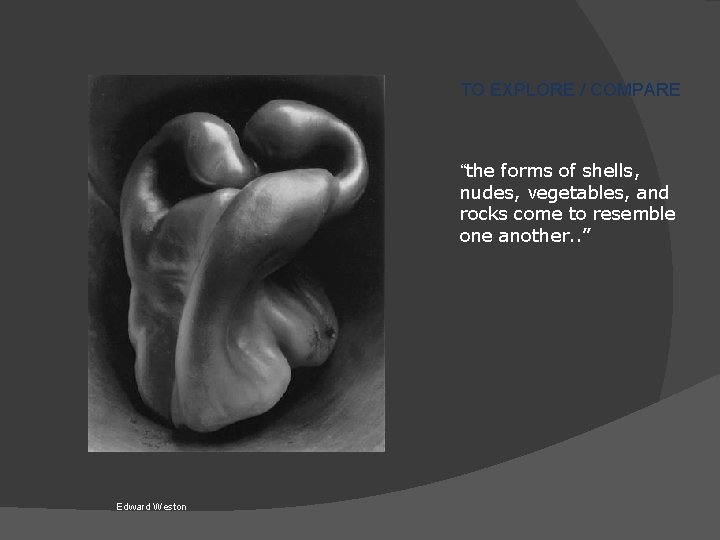 TO EXPLORE / COMPARE “the forms of shells, nudes, vegetables, and rocks come to