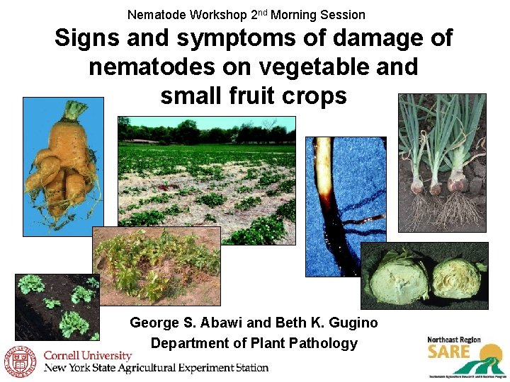 Nematode Workshop 2 nd Morning Session Signs and symptoms of damage of nematodes on