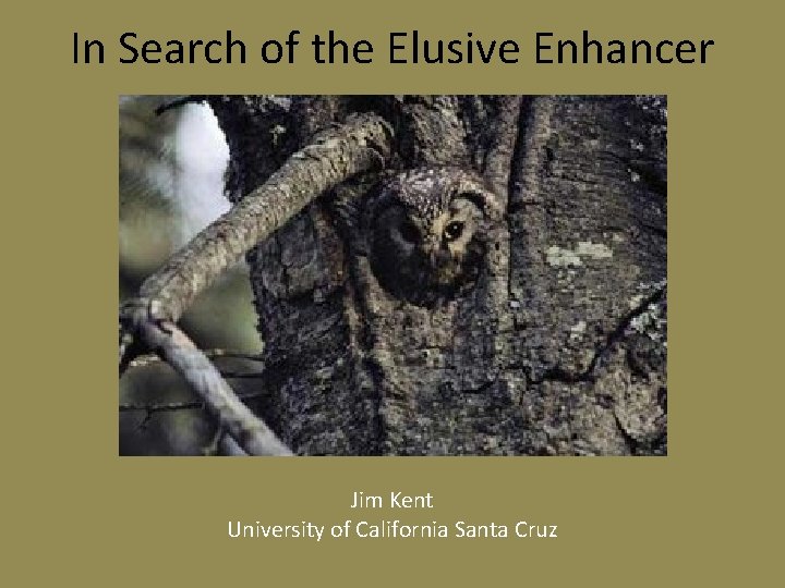 In Search of the Elusive Enhancer Jim Kent University of California Santa Cruz 