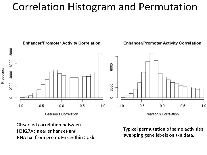 Correlation Histogram and Permutation Observed correlation between H 3 K 27 Ac near enhances