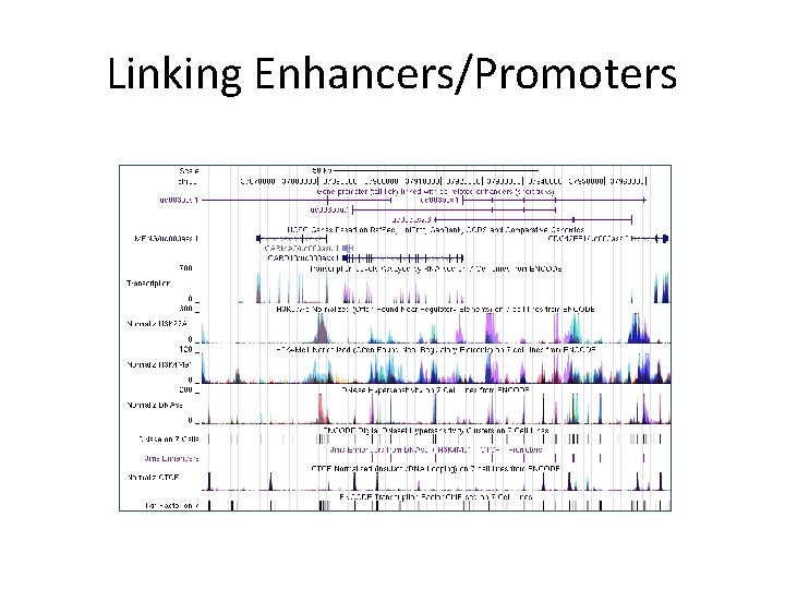 Linking Enhancers/Promoters 