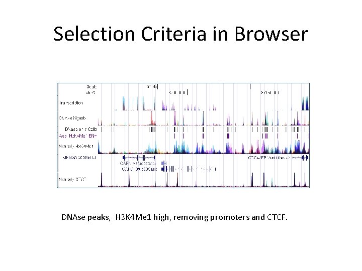 Selection Criteria in Browser DNAse peaks, H 3 K 4 Me 1 high, removing