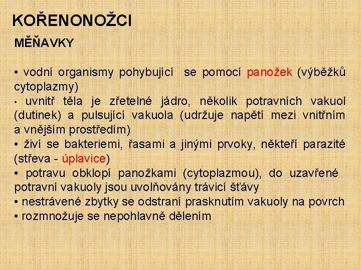 KOŘENONOŽCI MĚŇAVKY • vodní organismy pohybující se pomocí panožek (výběžků cytoplazmy) • uvnitř těla