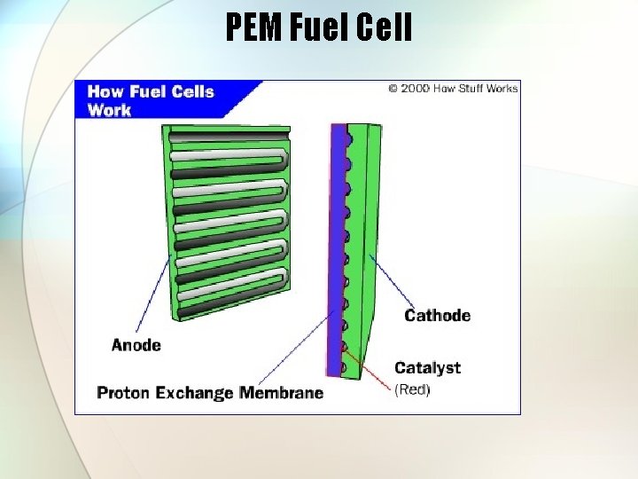 PEM Fuel Cell 