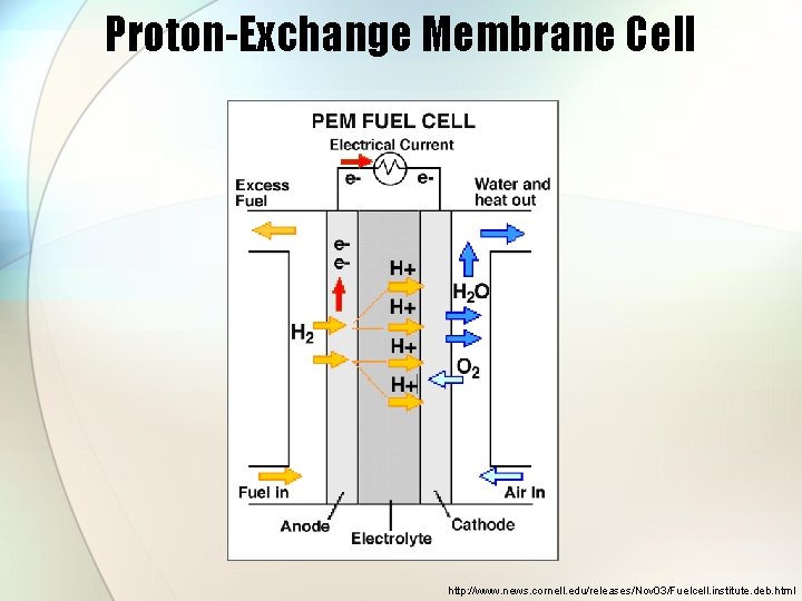 Proton-Exchange Membrane Cell http: //www. news. cornell. edu/releases/Nov 03/Fuelcell. institute. deb. html 